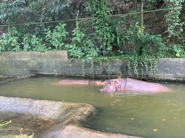 沖縄こどもの国に投稿された画像（2021/10/10）