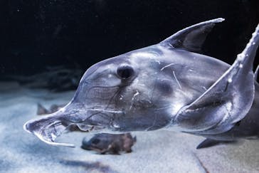 サンシャイン水族館に投稿された画像（2021/10/10）