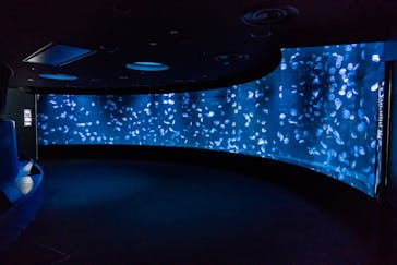 サンシャイン水族館に投稿された画像（2021/10/10）