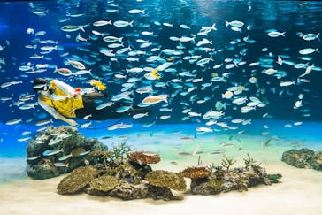 サンシャイン水族館に投稿された画像（2021/10/10）