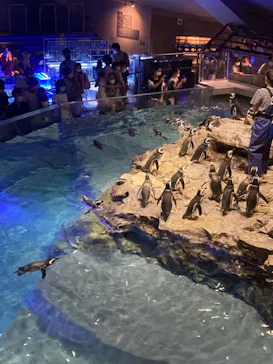 すみだ水族館に投稿された画像（2021/10/10）