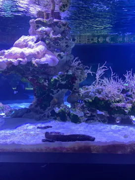 すみだ水族館に投稿された画像（2021/10/10）