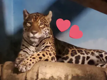 天王寺動物園に投稿された画像（2021/10/10）