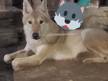 天王寺動物園に投稿された画像（2021/10/10）