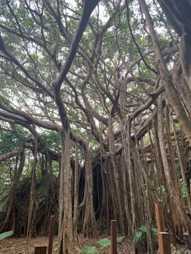 アスムイハイクスに投稿された画像（2021/10/10）