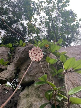 アスムイハイクスに投稿された画像（2021/10/10）