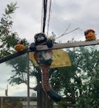 天王寺動物園に投稿された画像（2021/10/10）