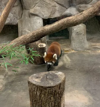 天王寺動物園に投稿された画像（2021/10/10）