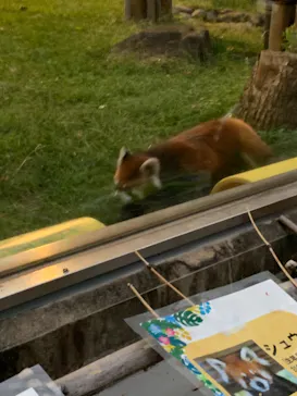 天王寺動物園に投稿された画像（2021/10/10）