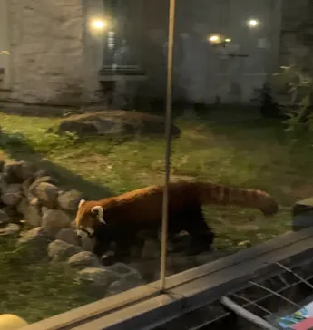 天王寺動物園に投稿された画像（2021/10/10）