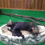 神戸どうぶつ王国に投稿された画像（2021/10/10）