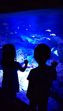 すみだ水族館に投稿された画像（2021/10/10）