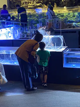 すみだ水族館に投稿された画像（2021/10/10）