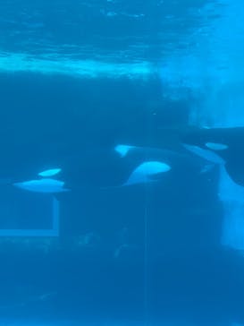 名古屋港水族館に投稿された画像（2021/10/10）