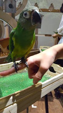 Moff animal world MARK IS みなとみらい店に投稿された画像（2021/10/10）