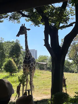 天王寺動物園に投稿された画像（2021/10/10）