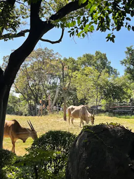 天王寺動物園に投稿された画像（2021/10/10）