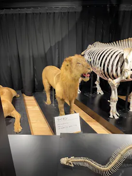 天王寺動物園に投稿された画像（2021/10/10）