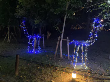 天王寺動物園に投稿された画像（2021/10/10）