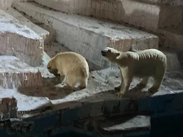天王寺動物園に投稿された画像（2021/10/10）