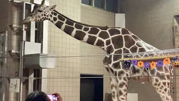 天王寺動物園に投稿された画像（2021/10/10）