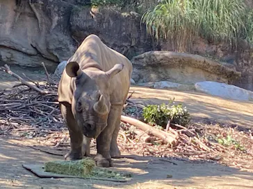 天王寺動物園に投稿された画像（2021/10/10）