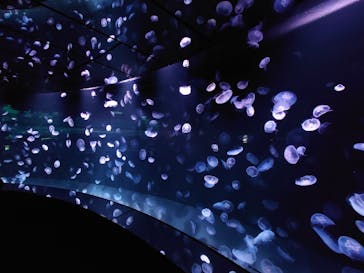 サンシャイン水族館に投稿された画像（2021/10/10）