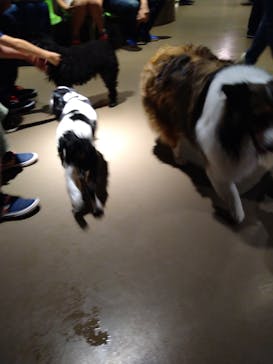 Moff animal world MARK IS みなとみらい店に投稿された画像（2021/10/10）