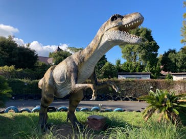 伊豆ぐらんぱる公園に投稿された画像（2021/10/10）