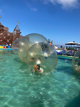 伊豆ぐらんぱる公園に投稿された画像（2021/10/10）