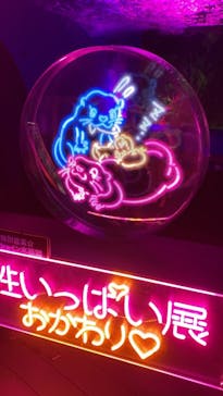 サンシャイン水族館に投稿された画像（2021/10/10）