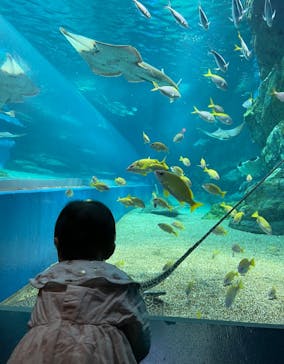 マクセル アクアパーク品川に投稿された画像（2021/10/10）