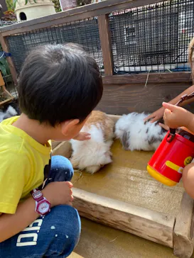 神戸どうぶつ王国に投稿された画像（2021/10/10）