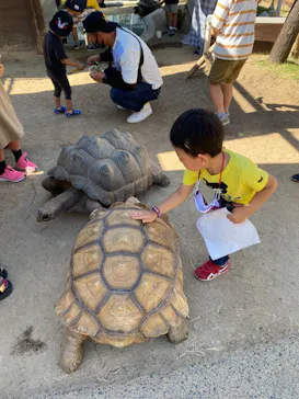 神戸どうぶつ王国に投稿された画像（2021/10/10）