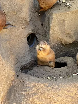 神戸どうぶつ王国に投稿された画像（2021/10/10）