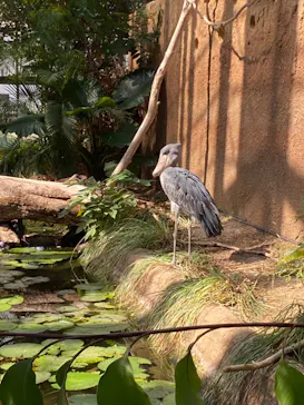 神戸どうぶつ王国に投稿された画像（2021/10/10）