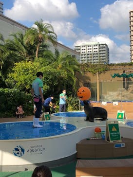 サンシャイン水族館に投稿された画像（2021/10/10）