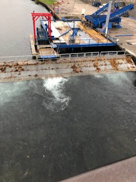 サケのふるさと 千歳水族館に投稿された画像（2021/10/10）