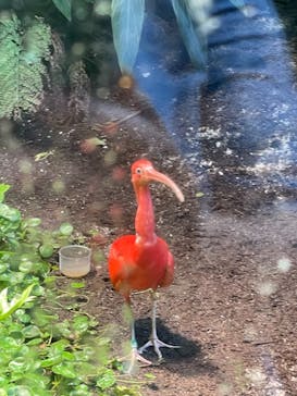 カワスイ 川崎⽔族館に投稿された画像（2021/10/10）