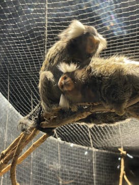 カワスイ 川崎⽔族館に投稿された画像（2021/10/10）