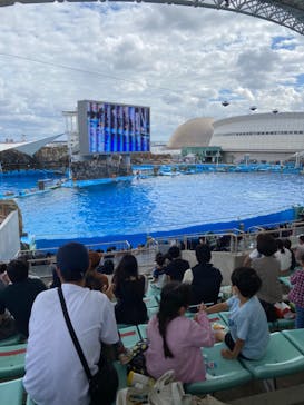 名古屋港水族館に投稿された画像（2021/10/10）