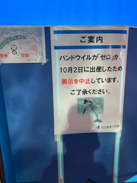 名古屋港水族館に投稿された画像（2021/10/10）