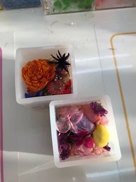 ずこうしつ〜sugamo〜に投稿された画像（2021/10/10）