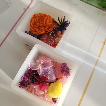 ずこうしつ〜sugamo〜に投稿された画像（2021/10/10）