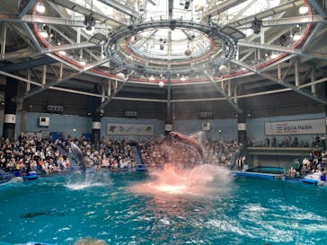 マクセル アクアパーク品川に投稿された画像（2021/10/10）