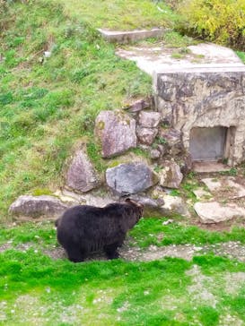 サホロリゾート　ベア･マウンテンに投稿された画像（2021/10/10）