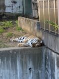 天王寺動物園に投稿された画像（2021/10/10）
