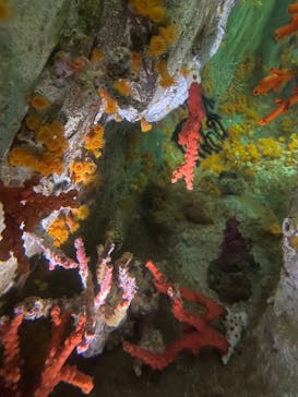 サンシャイン水族館に投稿された画像（2021/10/10）