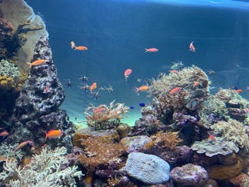 サンシャイン水族館に投稿された画像（2021/10/10）