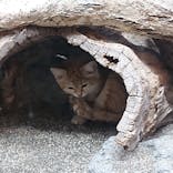 那須どうぶつ王国に投稿された画像（2021/10/10）